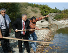 40 Bin sazan gölete bırakıldı