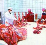 Sinop'a modern mezbaha