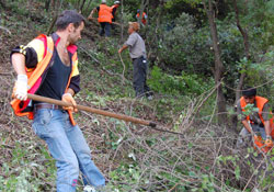 Yeşil alanlara özel bakım