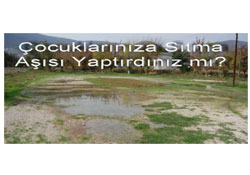 Çocuklarınıza sıtma aşısı yaptırdınız mı?