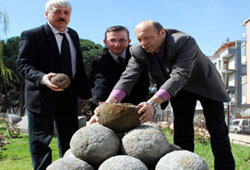 Rus gülleleri