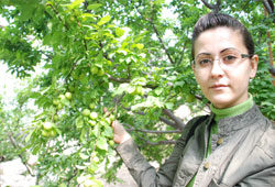 Örtü altında erik yetişti