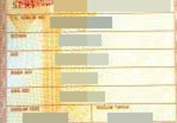 Kürtçe karakter TC kimliğinde