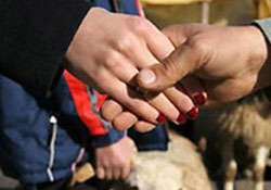 Kredi kartıyla kurban olur mu?