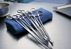 Samsun'da kongre hazırlığı