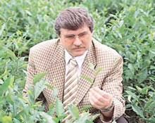 Çayda radyasyon var mı?