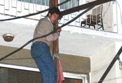 Kafayı buldu direğe çıktı