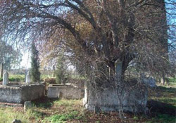 Mezarlık dışındaki yerlere ölü defni yasak
