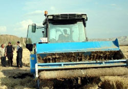 Anıza köklü çözüm