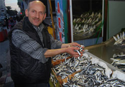 Hamsi artık midede...