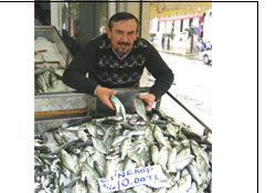 Sinop'ta çinekop bereketi