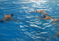 Olimpik havuzda Ragbi Turnuvası