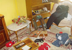 Hırsızlar cirit atıyor