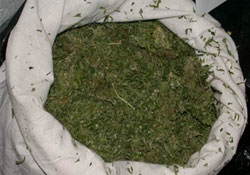 292 gram esrar ele geçirildi