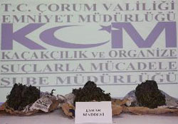 Mecitözü'nde esrar operasyonu