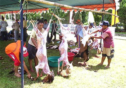 Kurban komisyonu toplandı