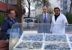 Bafra'da seyyar operasyonu
