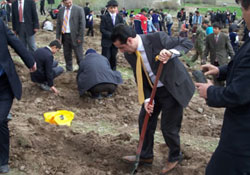 Huzur Derneği, 350 çam fidanı dikti