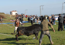 Yine Kurban yine aynı manzara