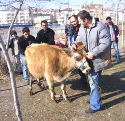 Kaçak Kesenlere Ceza Yağdı..!