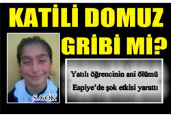 Katili Domuz Gribi mi?