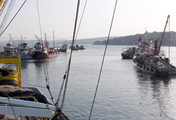 Balıkçı kota istedi