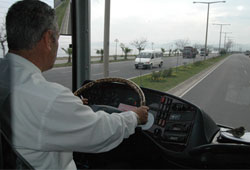 Otobüs şoförünün kuş sevgisi