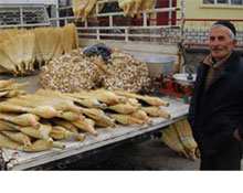 Ot süpergesinin zaferi