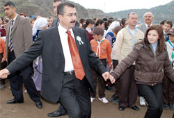 Halaylı ağaçlandırma