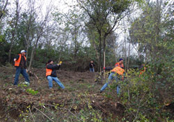 Canik yeşili koruyor