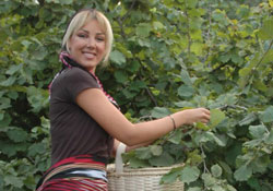 90 bin prim desteği başvurusu