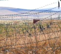 Yola Döşenen 2 Mayın İmha Edildi