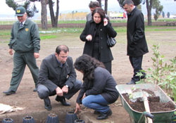 17 bin 400 hektar ağaçlandırılacak