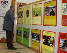 Filistine destek gecesi