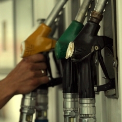 2009 Zamla Veda Etti