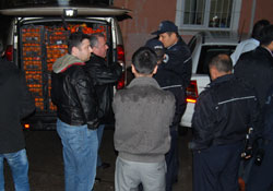 Limanda "analiz" krizi