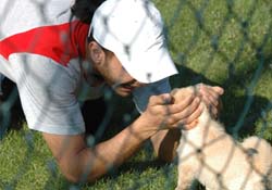 Adem'in köpek sevgisi