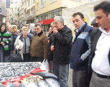 Samsunluların TORİK merakı