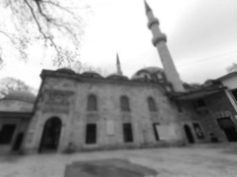 Camide gübre satılıyor