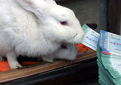 Büyük ikramiyenin Adana'daki bayisi belli oldu