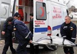Ölü yunusa ambulanslı defin işlemi