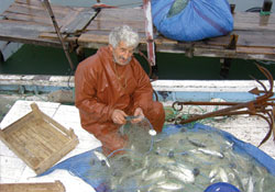 Yakakentte çinekop bereketi