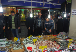 Yüzlerce balık telef oldu