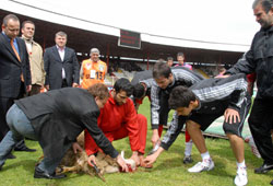 Kurban kesip dua ettiler