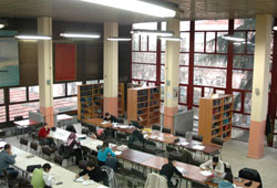 Kadın eli değince...