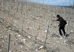 Su kaybına önlem çalışması