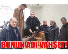 Bunun adı vahşet !