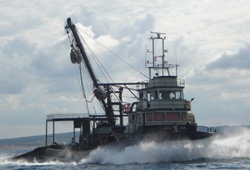 Hamsi sezonu sona eriyor