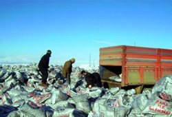 Yoksula 500 kg kömür