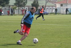Kral istekliydi